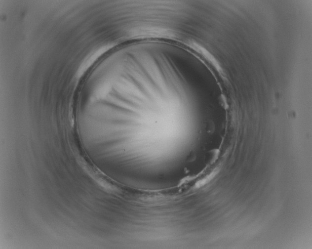 X0000077350885200611101611