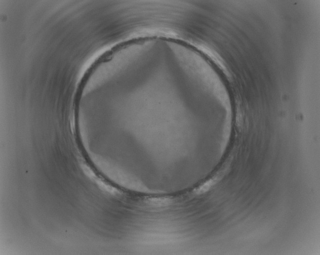 X0000077350888200611101611