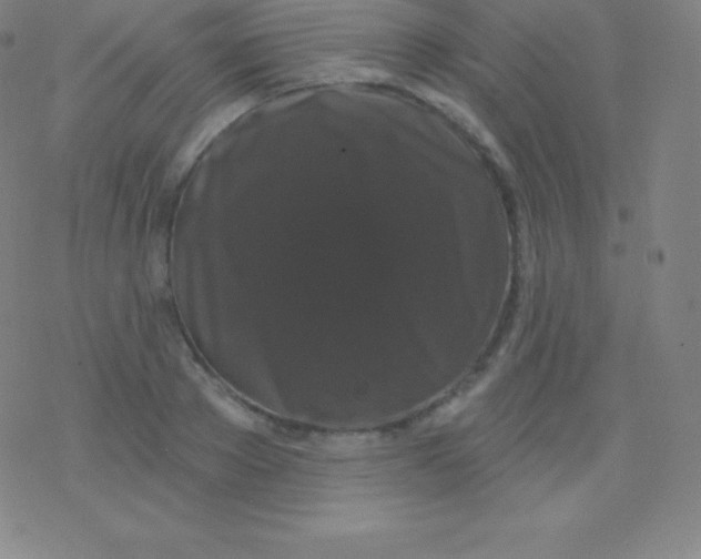 X0000077350889200611101611