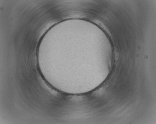 X0000077350890200611101611