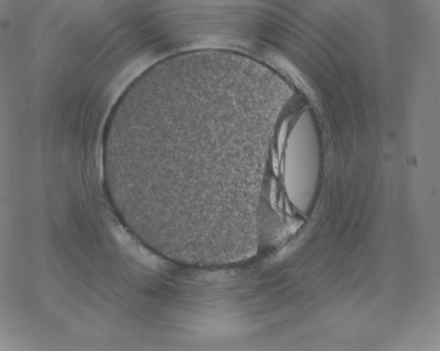 X0000077350892200611101611