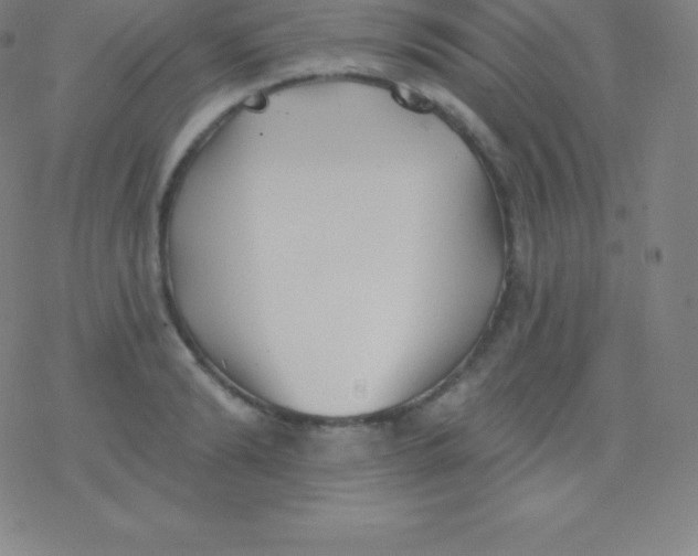 X0000077350894200611101611