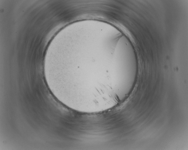 X0000077350896200611101611