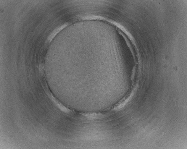 X0000077350897200611101611