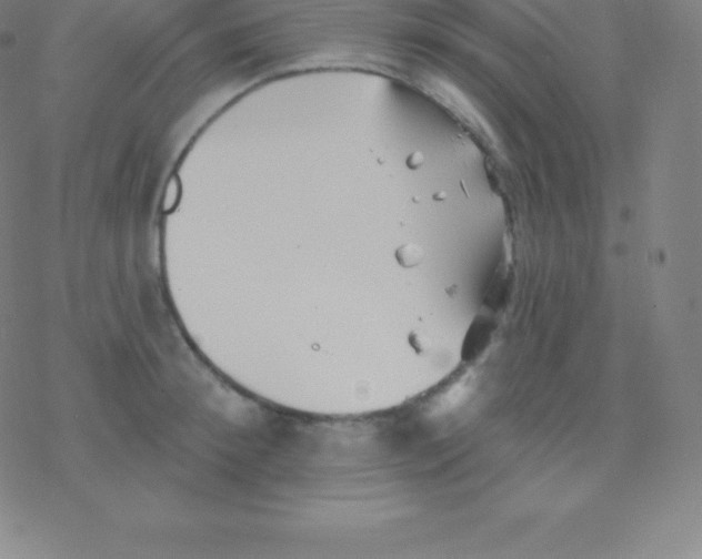 X0000077350900200611101611