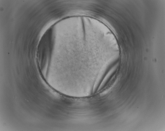 X0000077350901200611101611