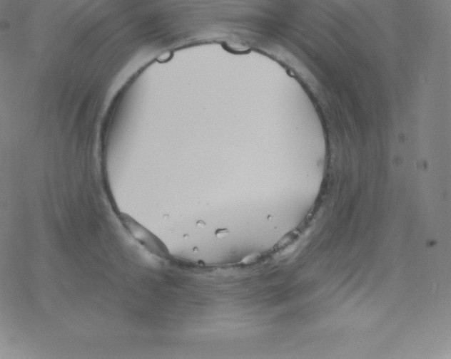 X0000077350902200611101611