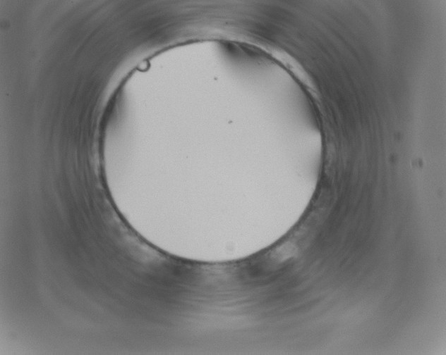 X0000077350904200611101611