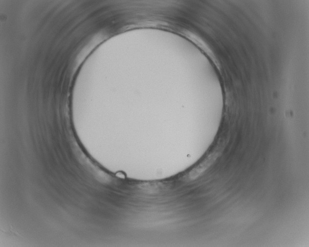 X0000077350906200611101611