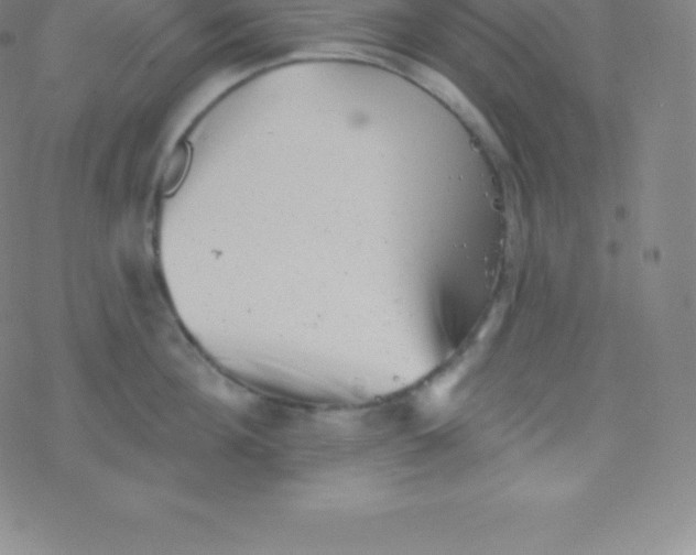 X0000077350908200611101611