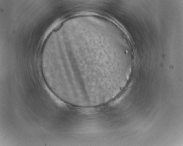 X0000077350909200611101611