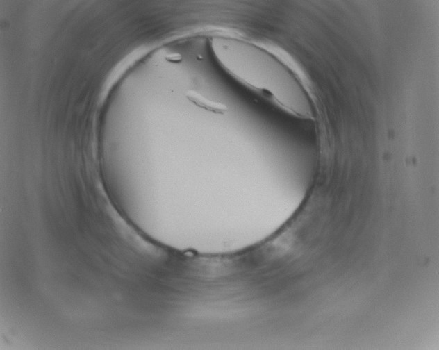 X0000077350910200611101611