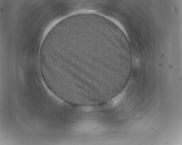 X0000077350911200611101611