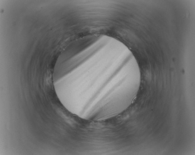 X0000077350914200611101610