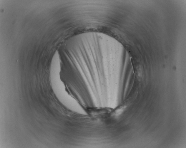 X0000077350916200611101610