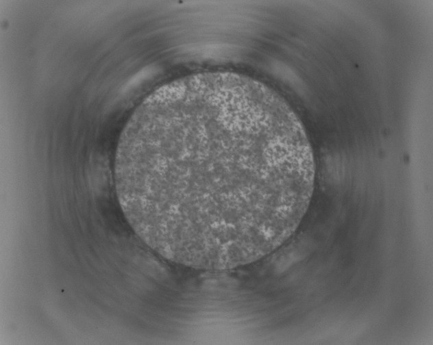 X0000077350918200611101610