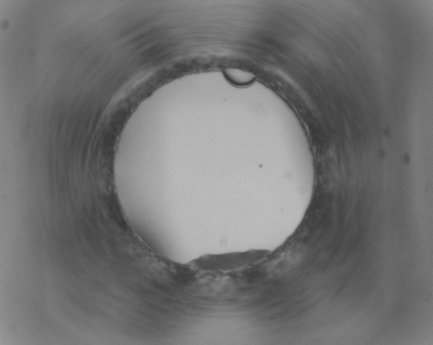 X0000077350919200611101610