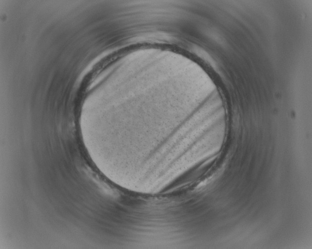 X0000077350923200611101610