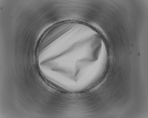 X0000077350924200611101610