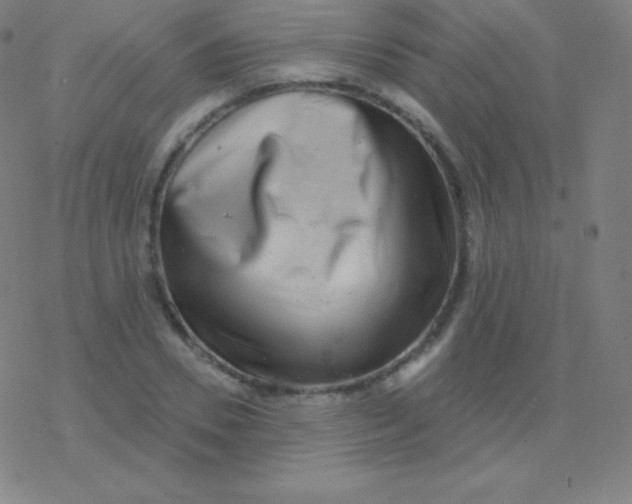 X0000077350930200611101610