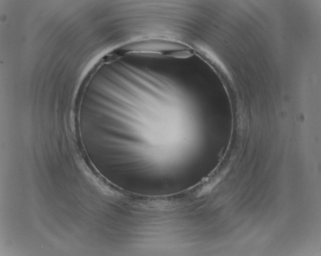 X0000077350932200611101610