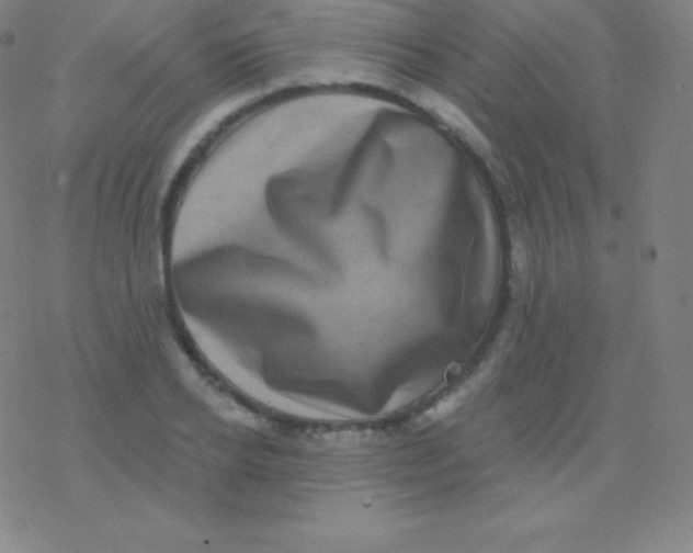 X0000077350934200611101610