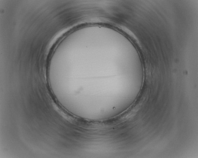 X0000077350935200611101610