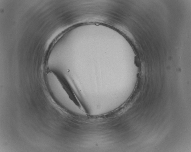 X0000077350936200611101610