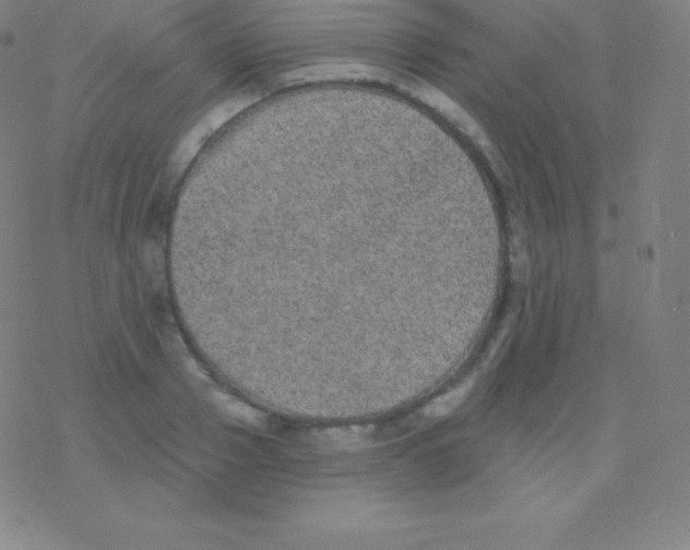 X0000077350937200611101610