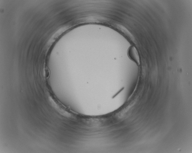 X0000077350938200611101610