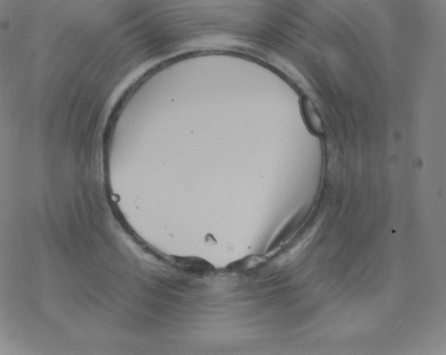 X0000077350939200611101610