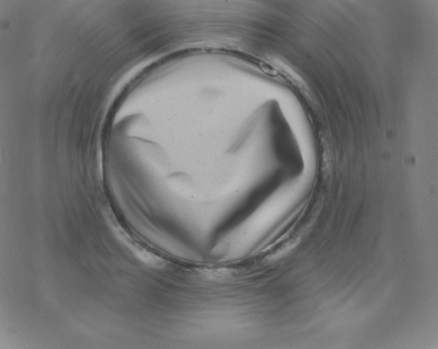 X0000077350940200611101610