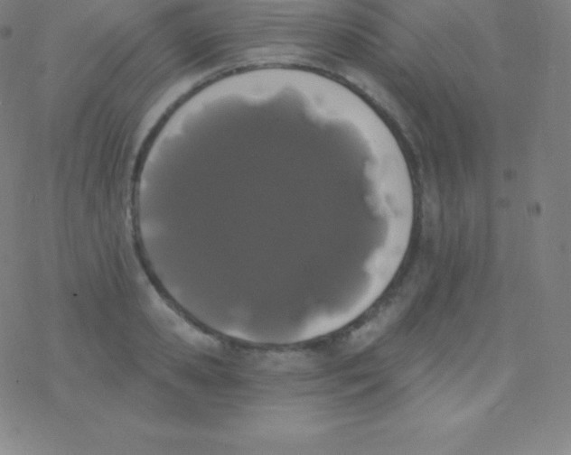 X0000077350941200611101610