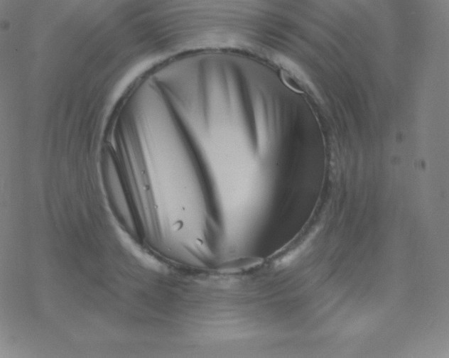 X0000077350942200611101610