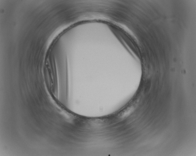 X0000077350943200611101610