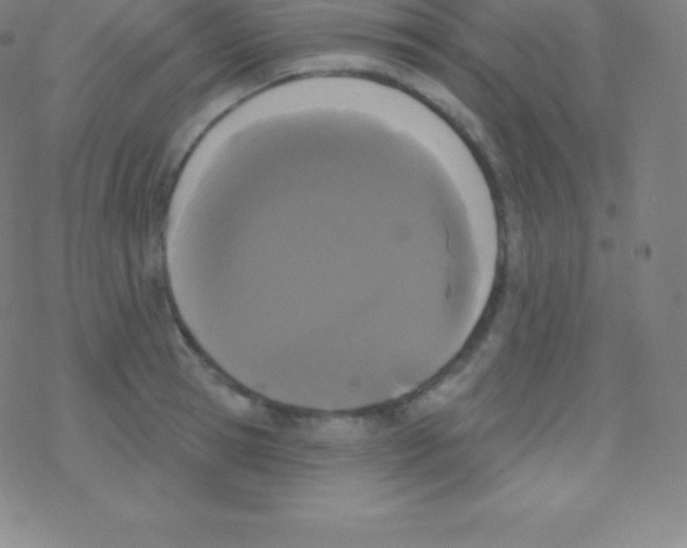 X0000077350945200611101610