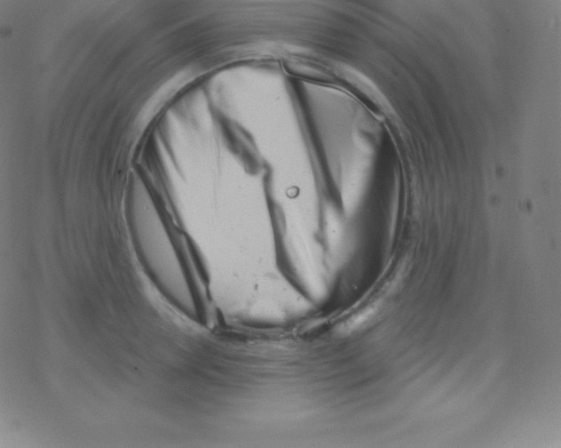 X0000077350946200611101610