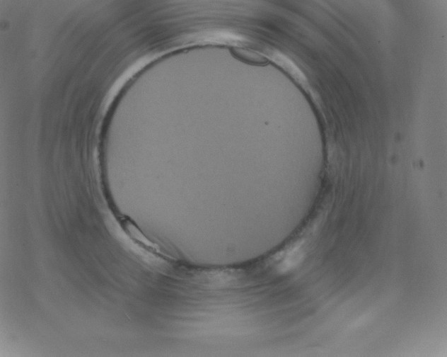 X0000077350947200611101610