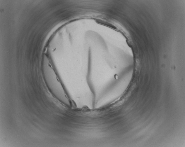 X0000077350948200611101610