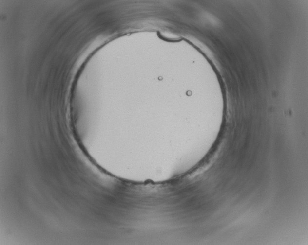 X0000077350949200611101610