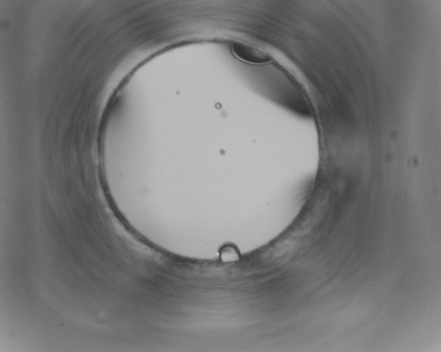 X0000077350951200611101610