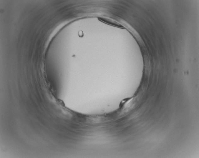 X0000077350956200611101610