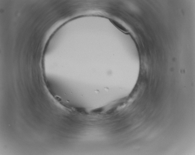 X0000077350959200611101611