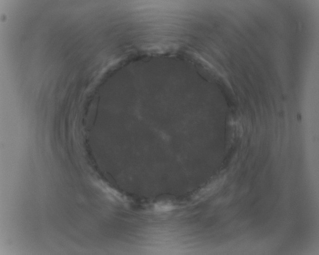 X0000077350961200611101610