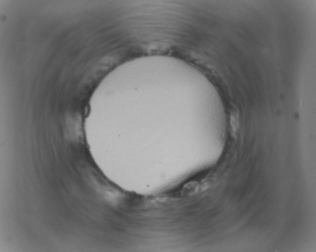 X0000077350963200611101610