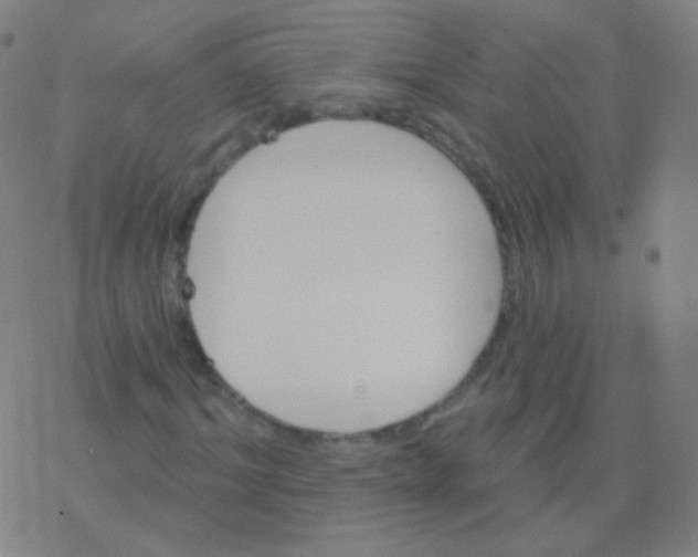 X0000077350964200611101610