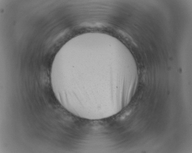 X0000077350966200611101610