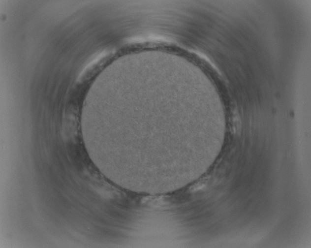 X0000077350967200611101610