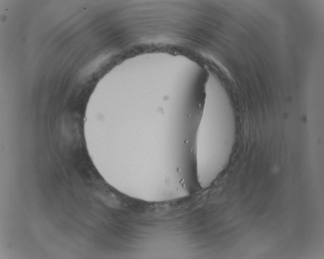 X0000077350968200611101610