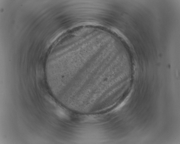 X0000077350969200611101610